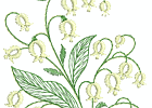 floral-007 5x7